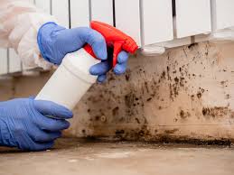 Best Mold Prevention Services  in Bartlesville, OK